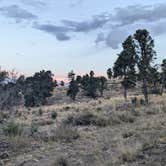 Review photo of 19631 Humboldt Forest Road Dispersed Campsite by DL M., September 21, 2024