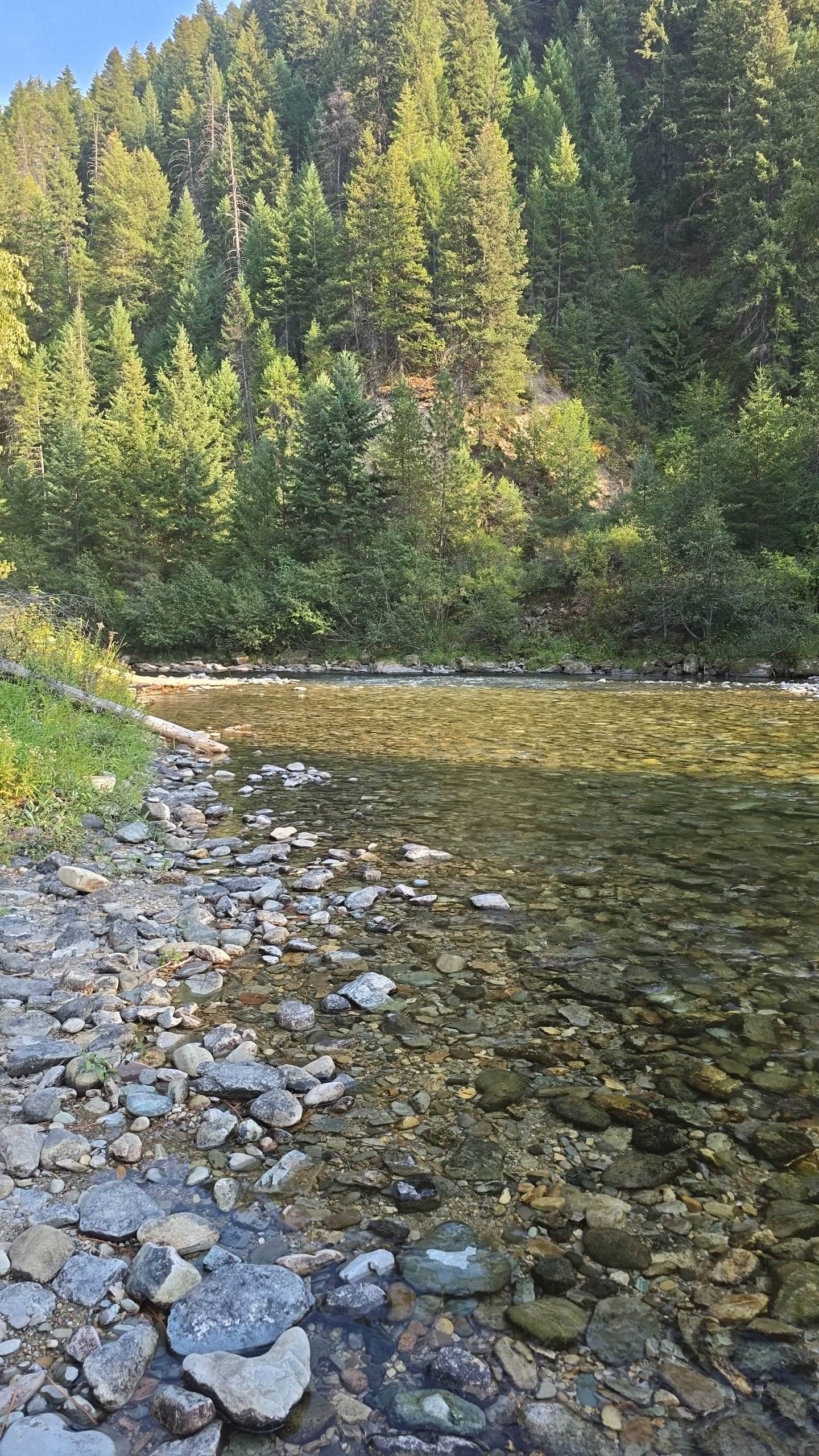 Camper-submitted photo at 2 Mile Turn Off Dispersed Camp near Plains, MT