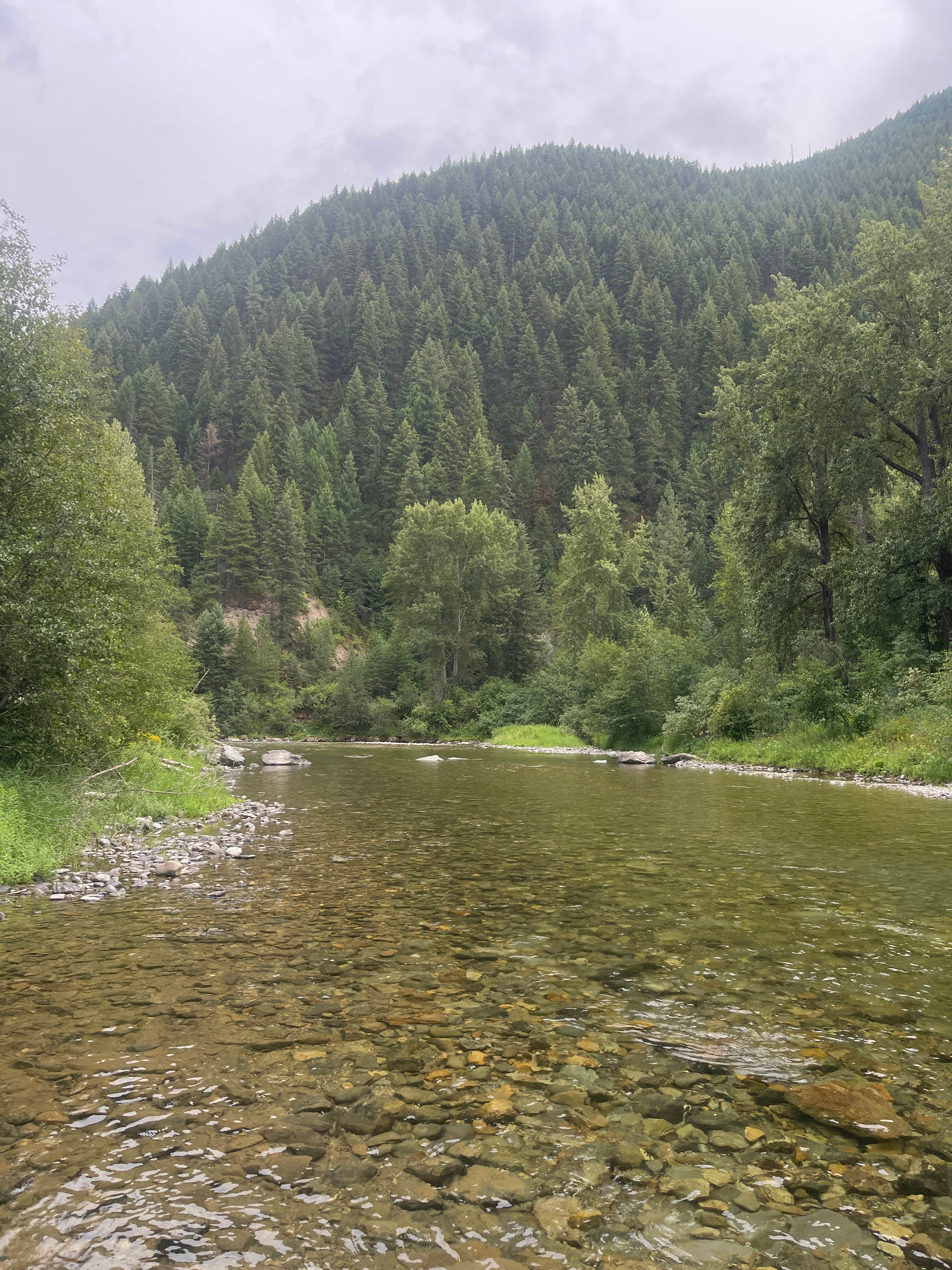 Camper-submitted photo at 2 Mile Turn Off Dispersed Camp near Plains, MT