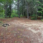 Review photo of 2 Mile Turn Off Dispersed Camp by Teresa A., July 19, 2026