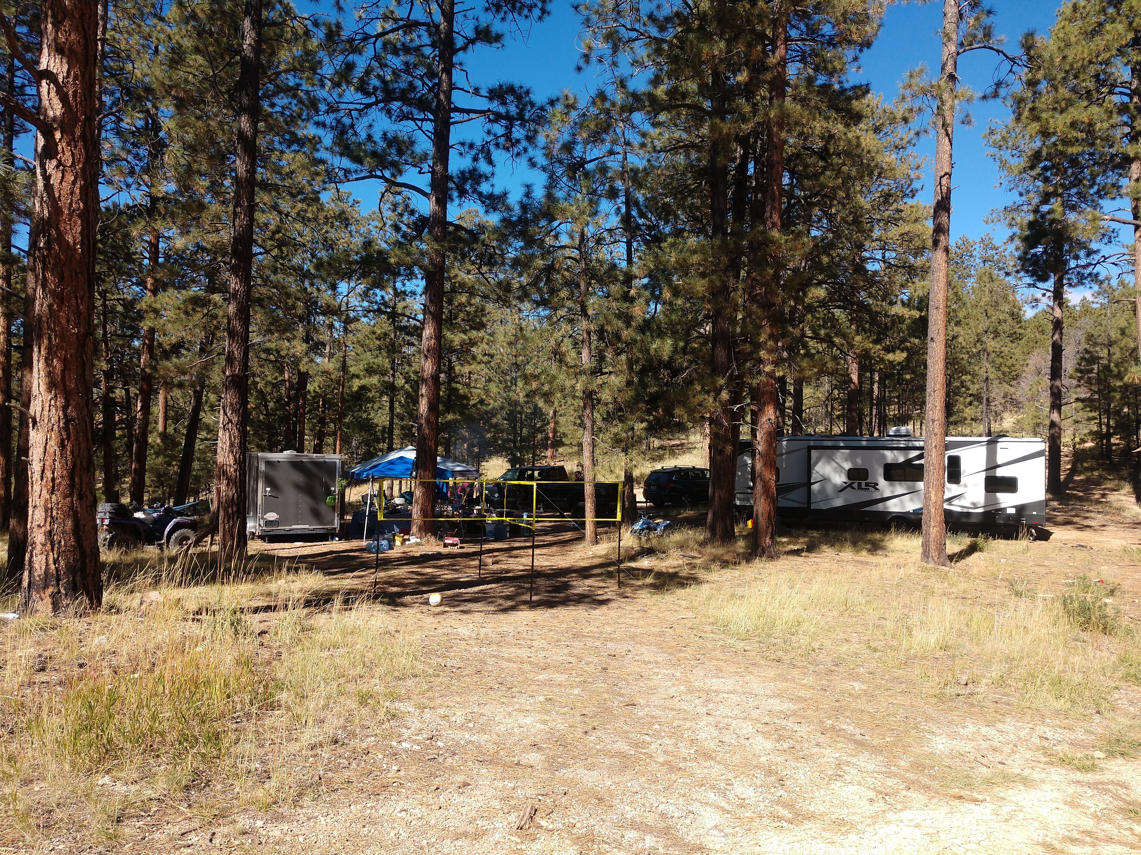 Camper submitted image from Forest Road 248 Campsite - 1