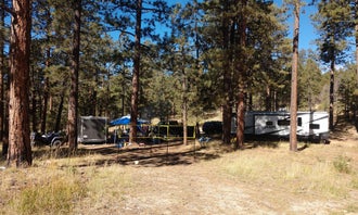 Camping near Big Springs Cabin Site: Forest Road 248 Campsite, Jacob Lake, Arizona