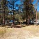Forest Road 248 Campsite