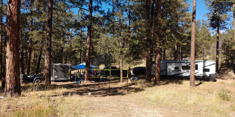 Camper submitted image from Forest Road 248 Campsite