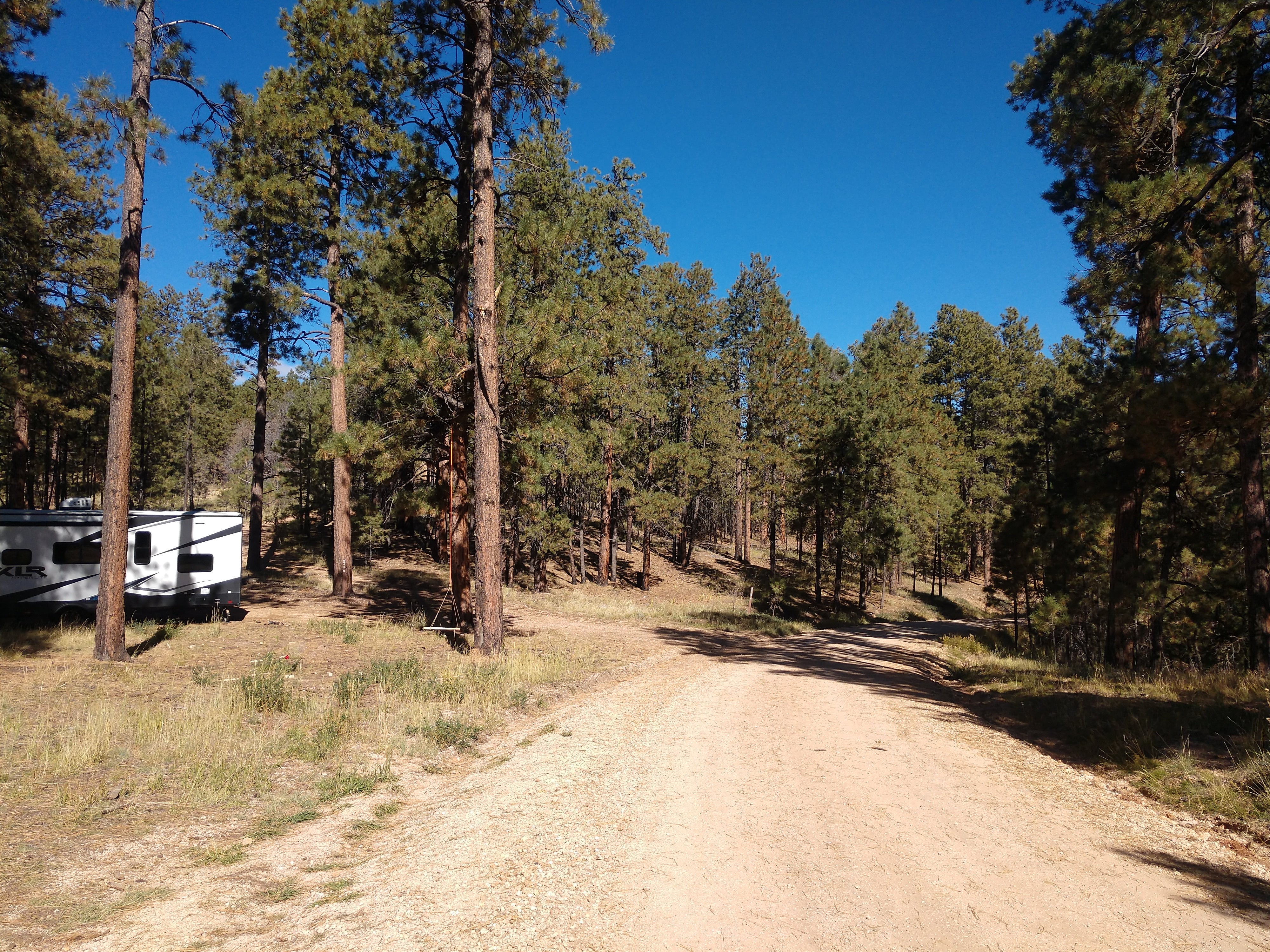 Camper submitted image from Forest Road 248 Campsite - 2
