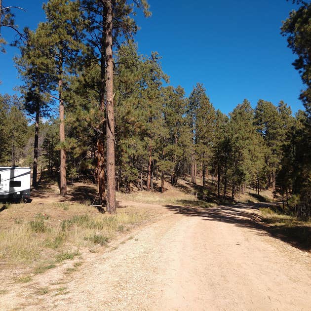 Forest Road 248 Campsite | Jacob Lake, AZ