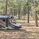 Review photo of Forest Road 248 Campsite by mark F., July 31, 2024