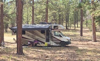mark F.'s photo of camping with pets at Forest Road 248 Campsite in Arizona