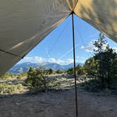 Review photo of Shavano BLM Designated Camping Area by Ryan L., July 8, 2026