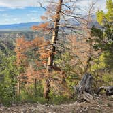 Review photo of Shavano BLM Designated Camping Area by Dan J., June 13, 2026