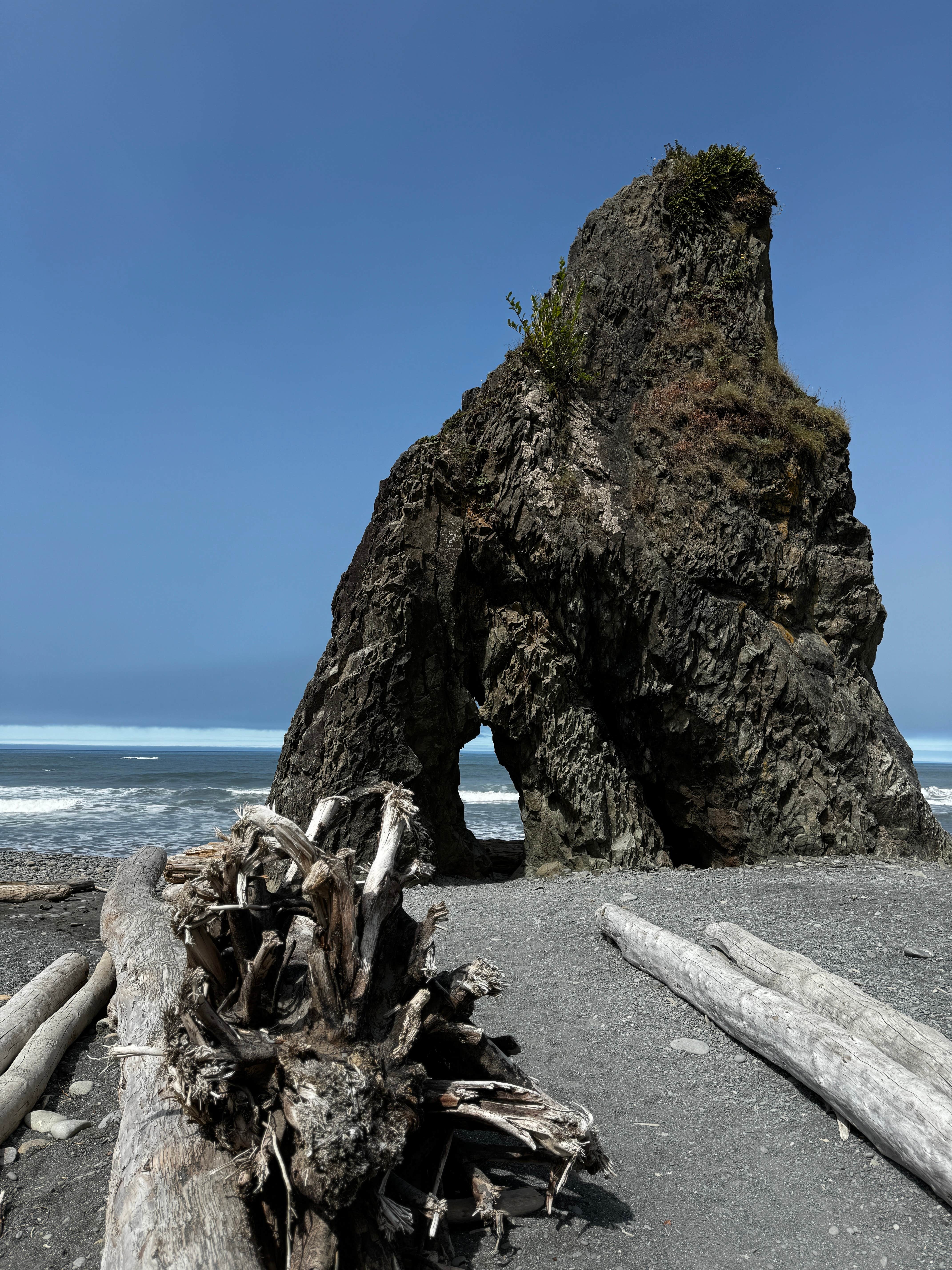 Camper-submitted photo at 3 Rivers Resort near La Push, WA