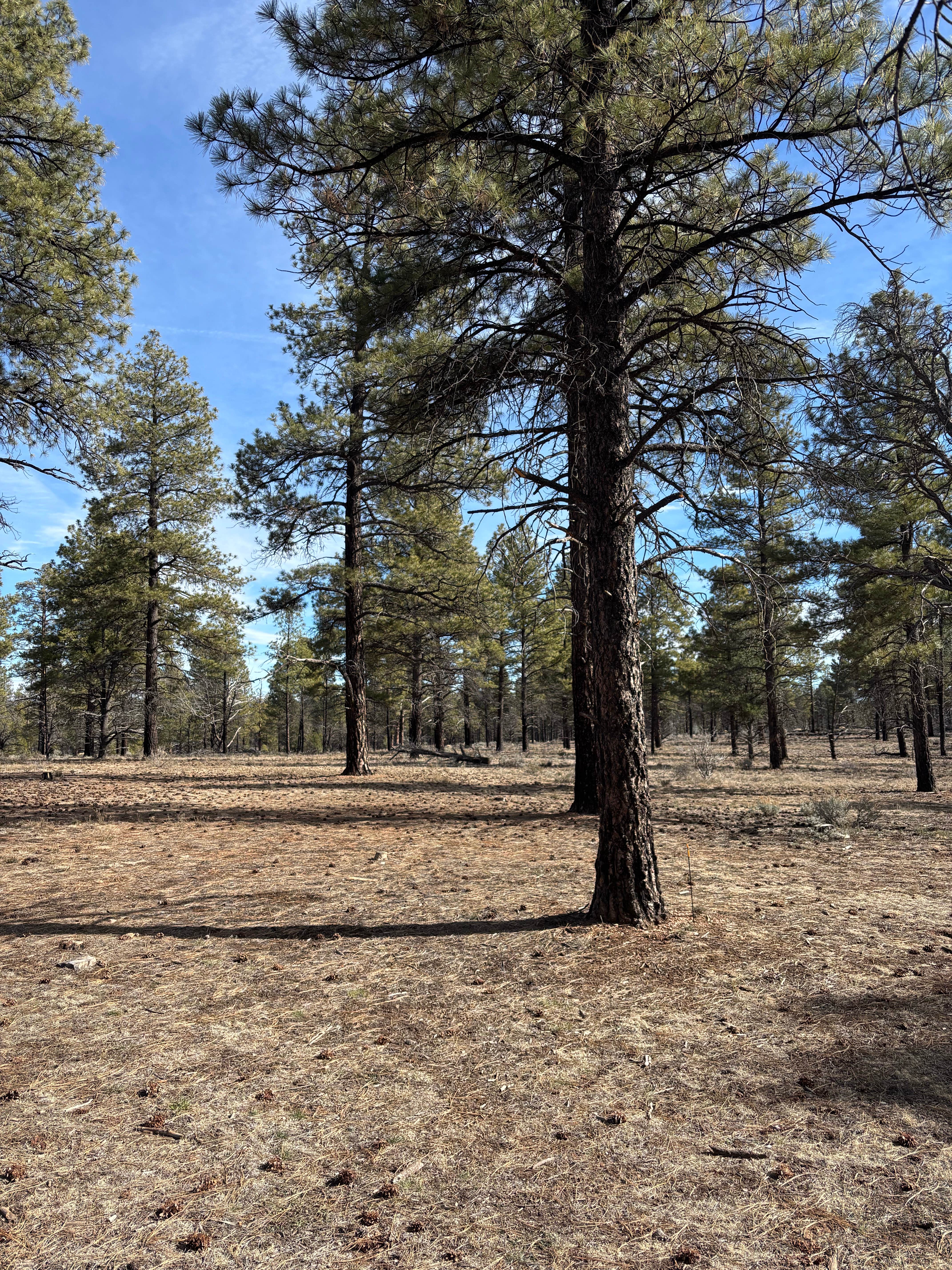 Camper submitted image from 306 T - 1