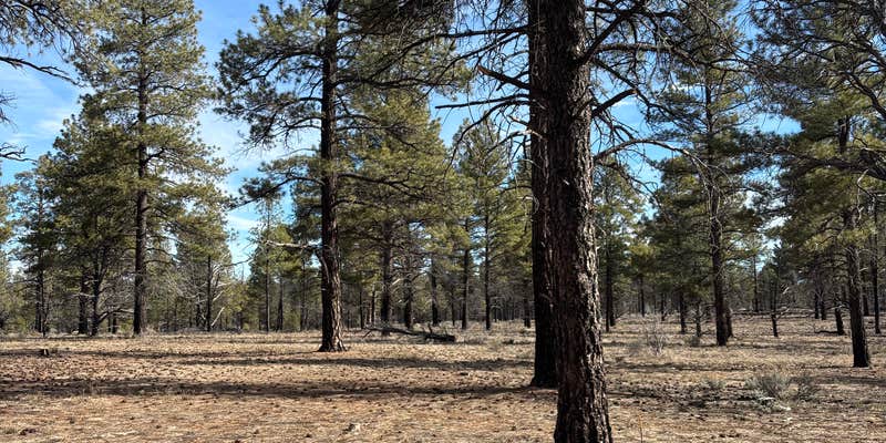 Camper submitted image from 306 T