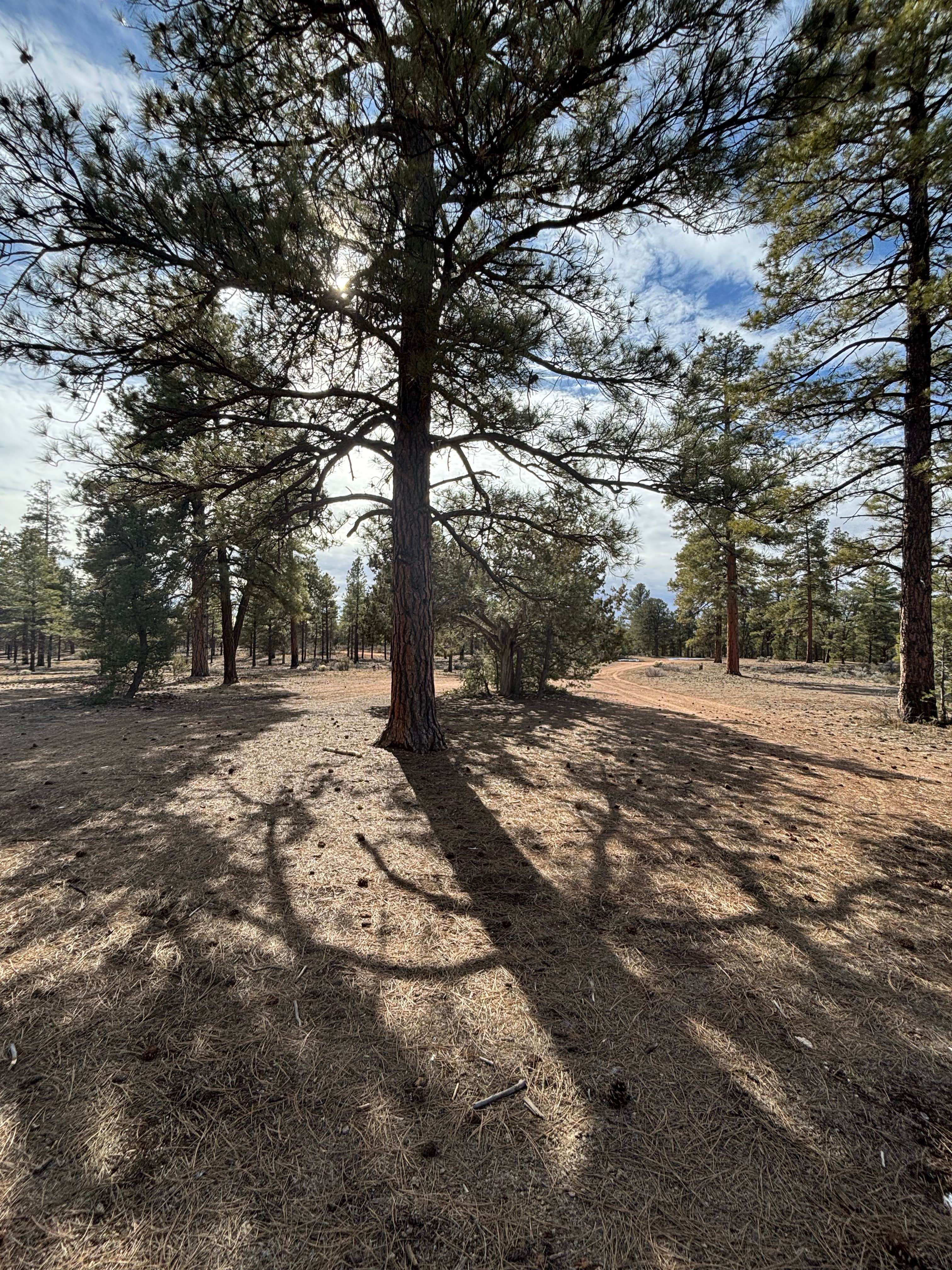 Camper submitted image from 306 T - 2