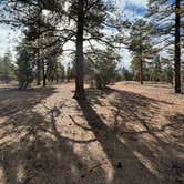 Review photo of 306 T by Kevin B., January 22, 2026