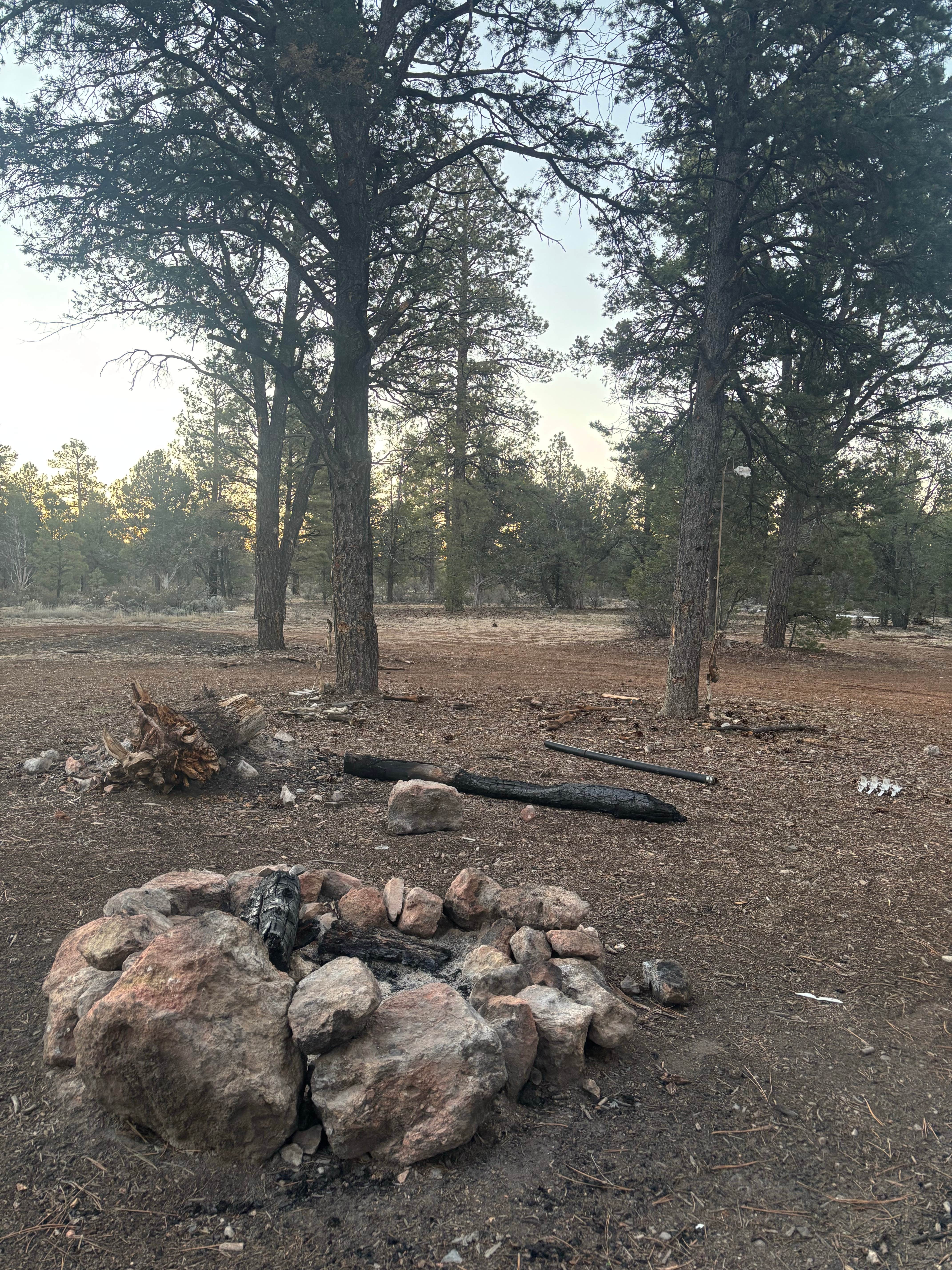 Camper-submitted photo at 306 V near Grand Canyon National Park