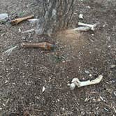 Review photo of 306 V by Kevin  B., January 20, 2026