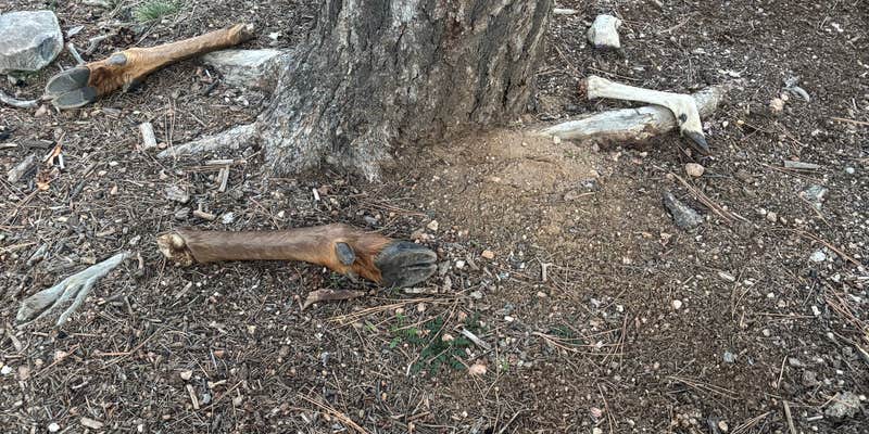 Camper submitted image from 306 V