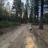 Review photo of 31N17N - North Manzanita Dispersed Camping by Grant M., June 3, 2026