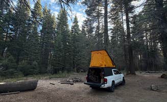 Grant M.'s photo of camping with pets at 31N17N - North Manzanita Dispersed Camping near Lassen Volcanic National Park