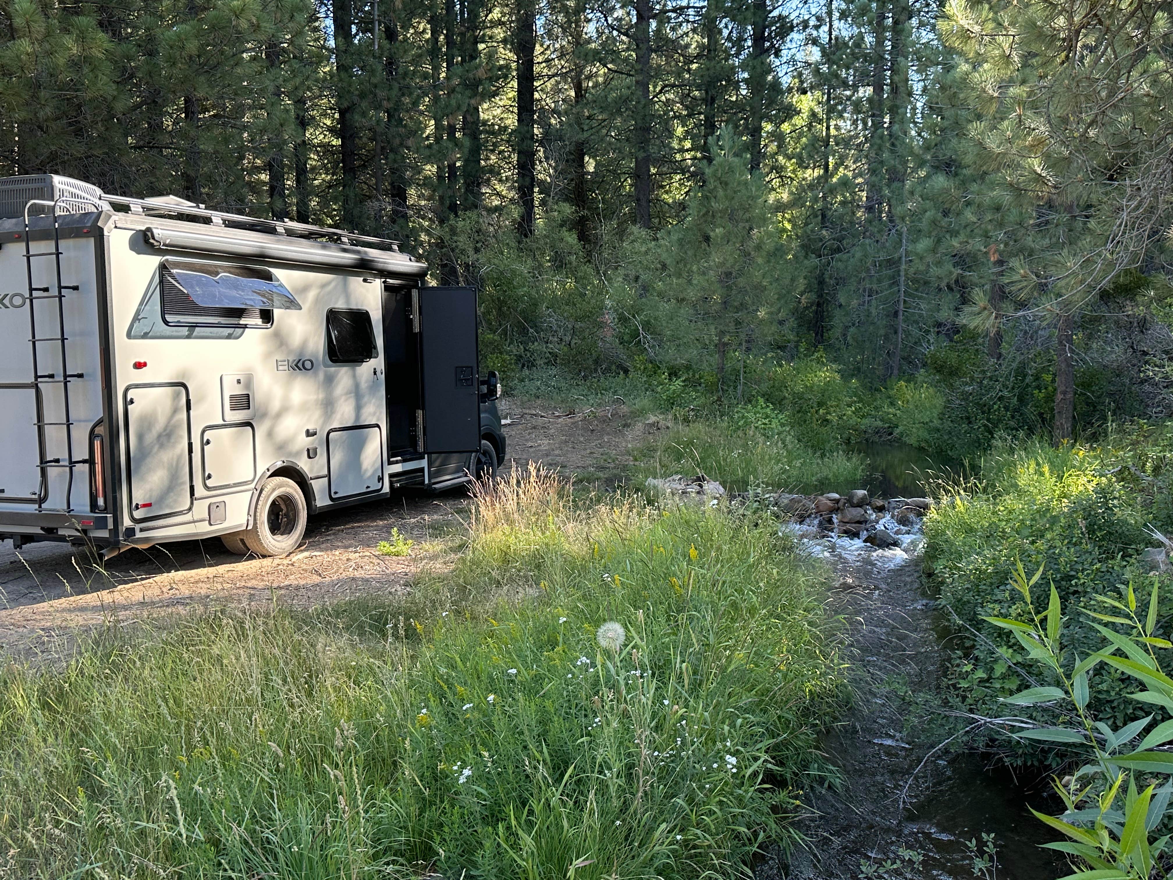 Camper-submitted photo at 31N17N - North Manzanita Dispersed Camping near Whitmore, CA