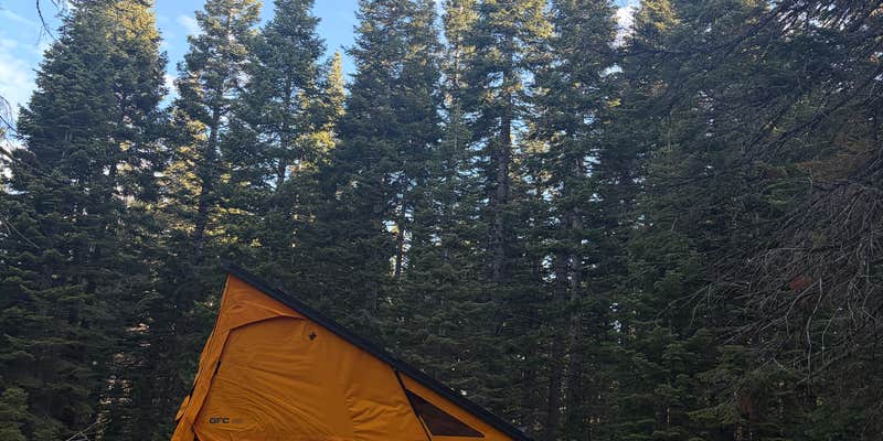 Camper submitted image from 31N17N - North Manzanita Dispersed Camping