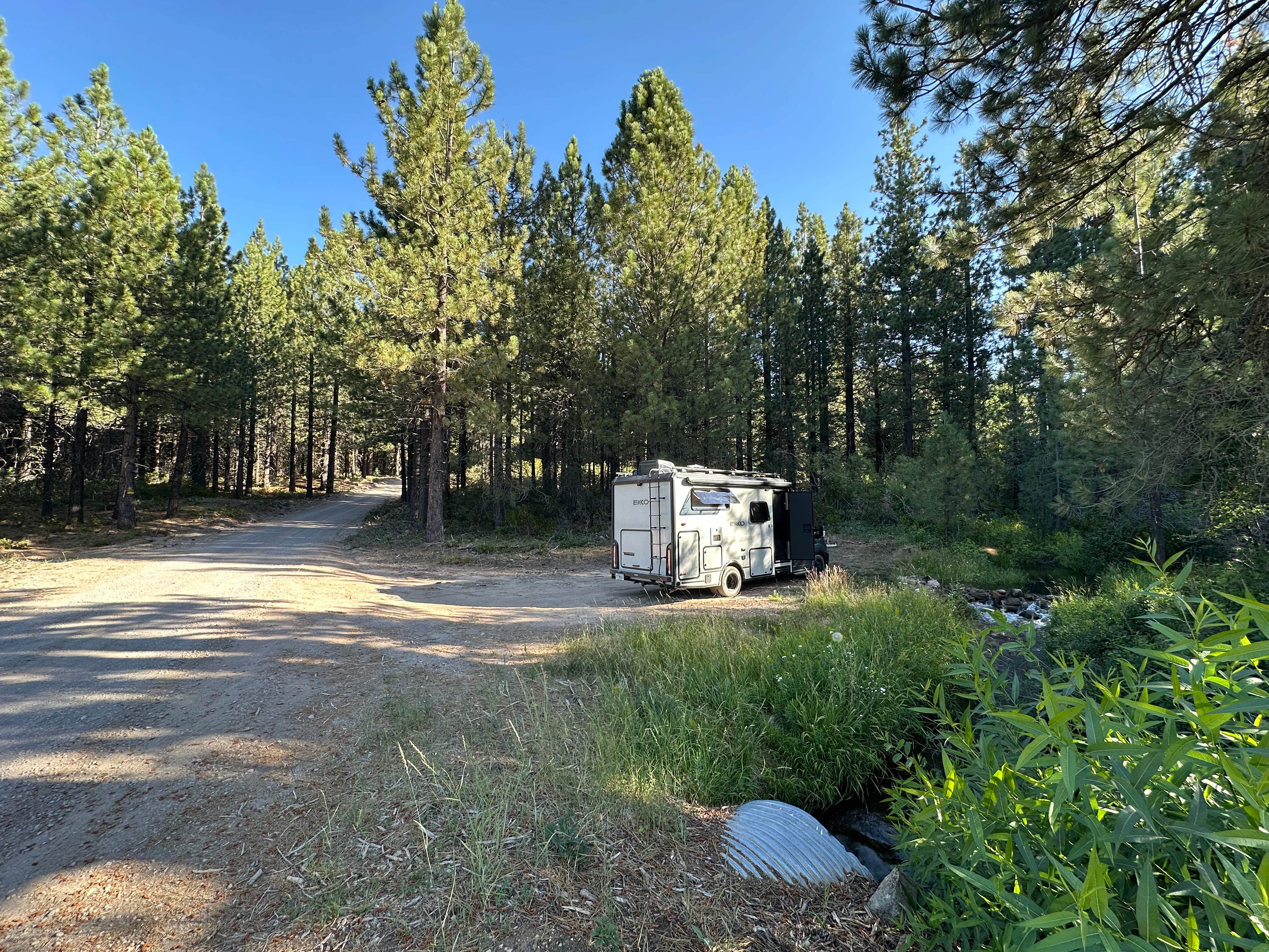 Camper-submitted photo at 31N17N - North Manzanita Dispersed Camping near Whitmore, CA