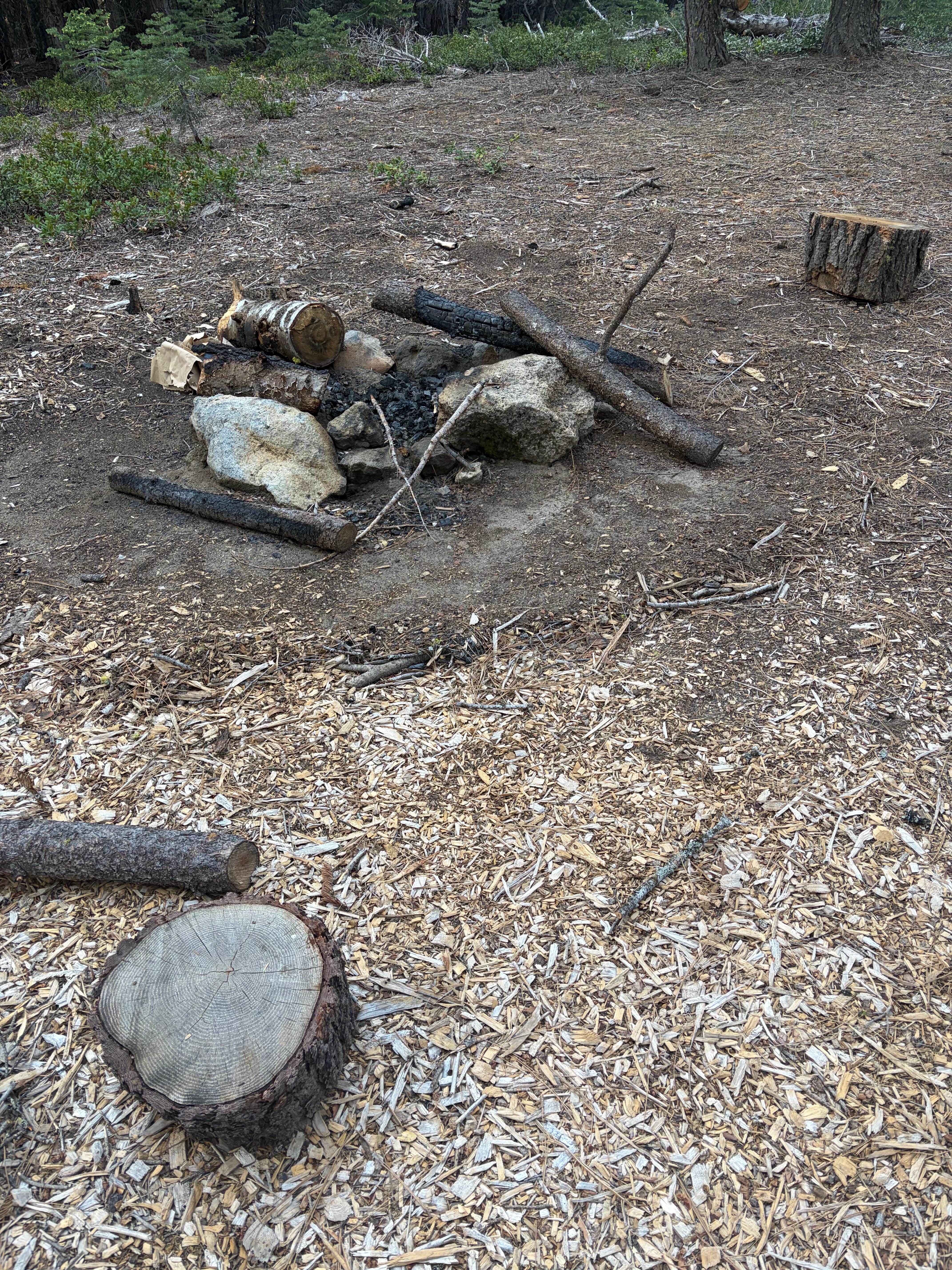 Camper-submitted photo at 31N17N - North Manzanita Dispersed Camping near Redwoods, CA
