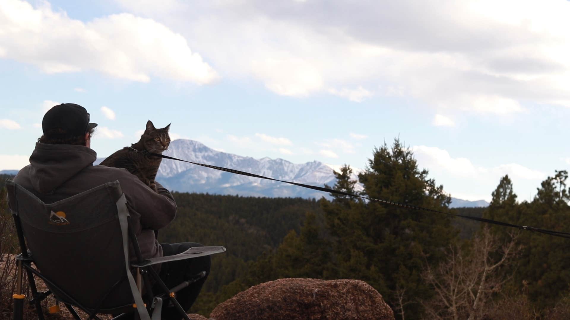 Camper submitted image from 320A Mt. Herman Dispersed - 1