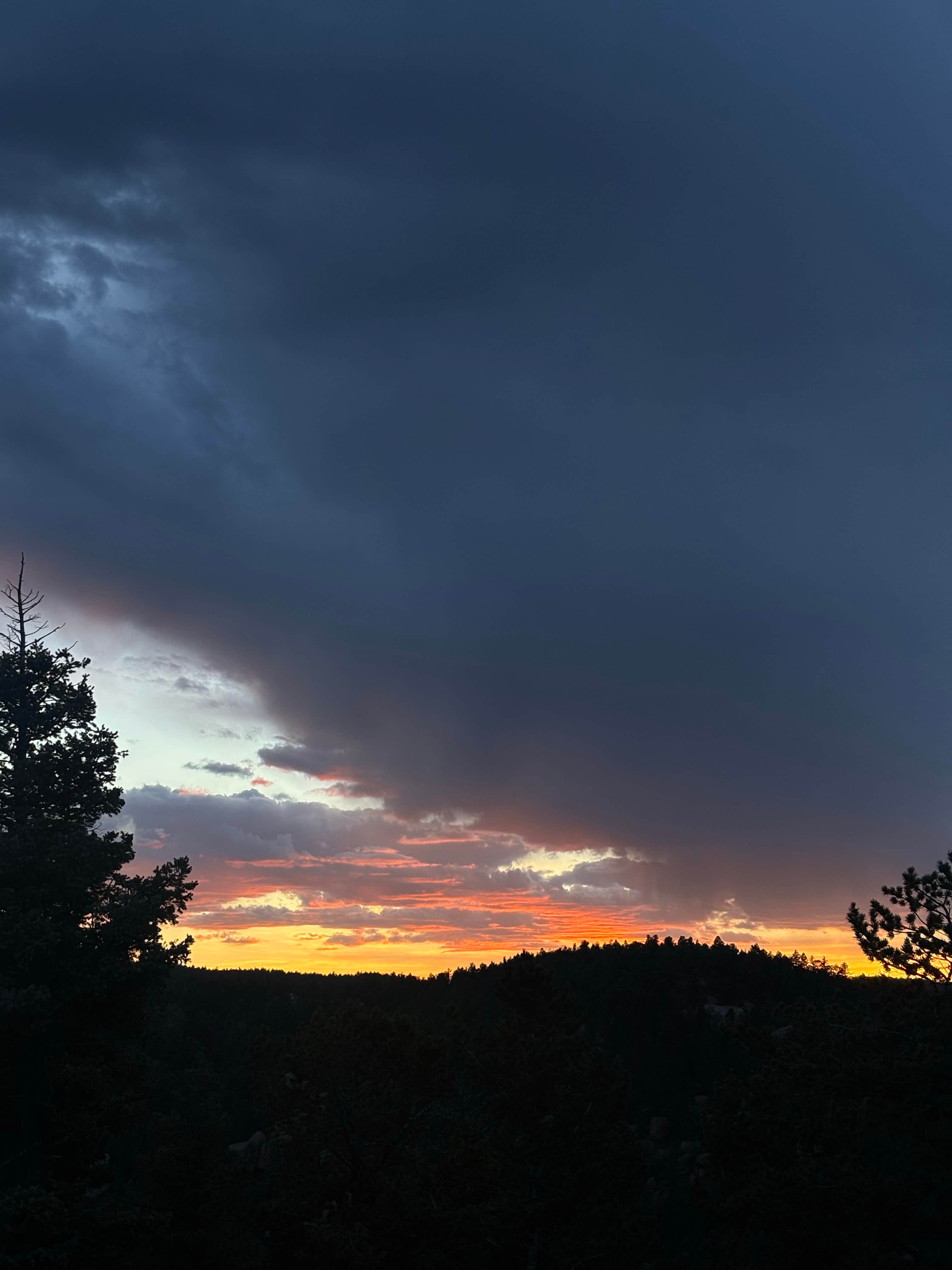 Camper-submitted photo at 320A Mt. Herman Dispersed near Peyton, CO