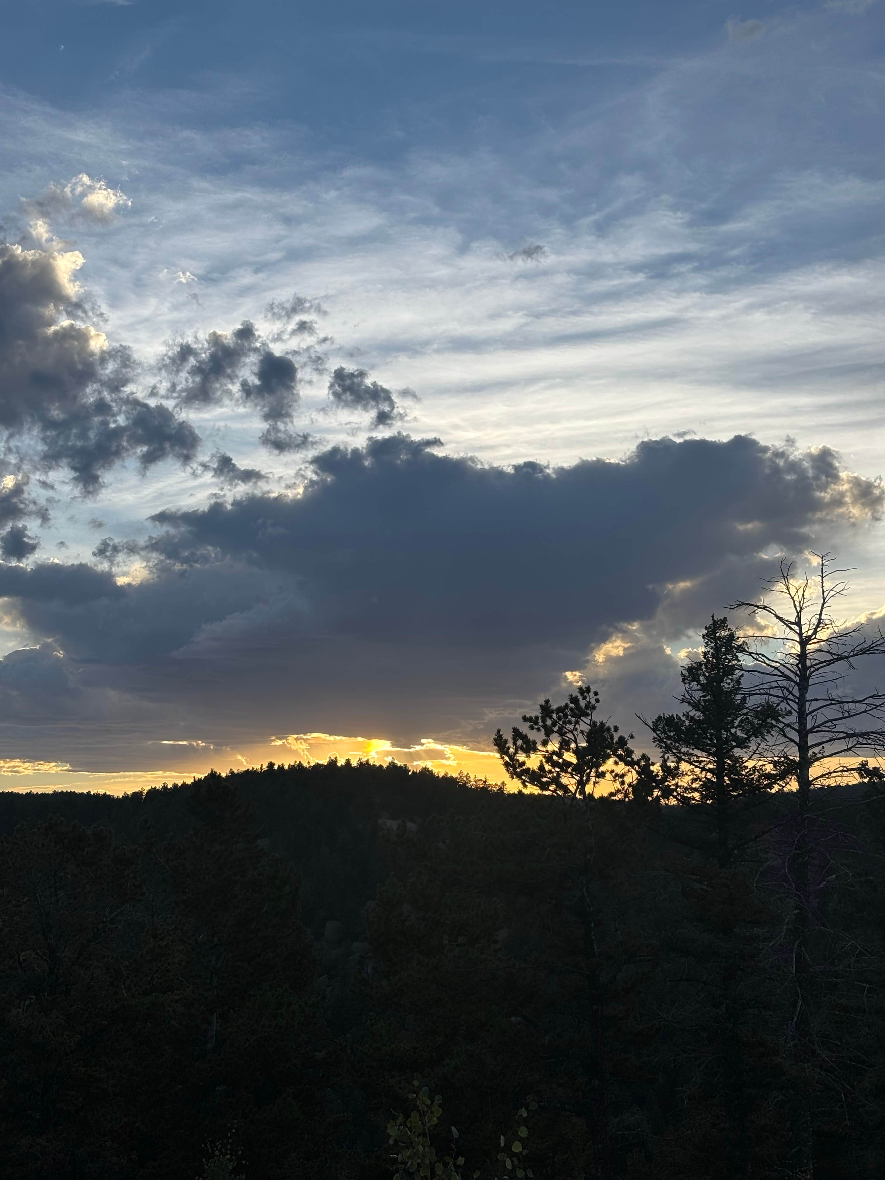 Camper-submitted photo at 320A Mt. Herman Dispersed near Peyton, CO