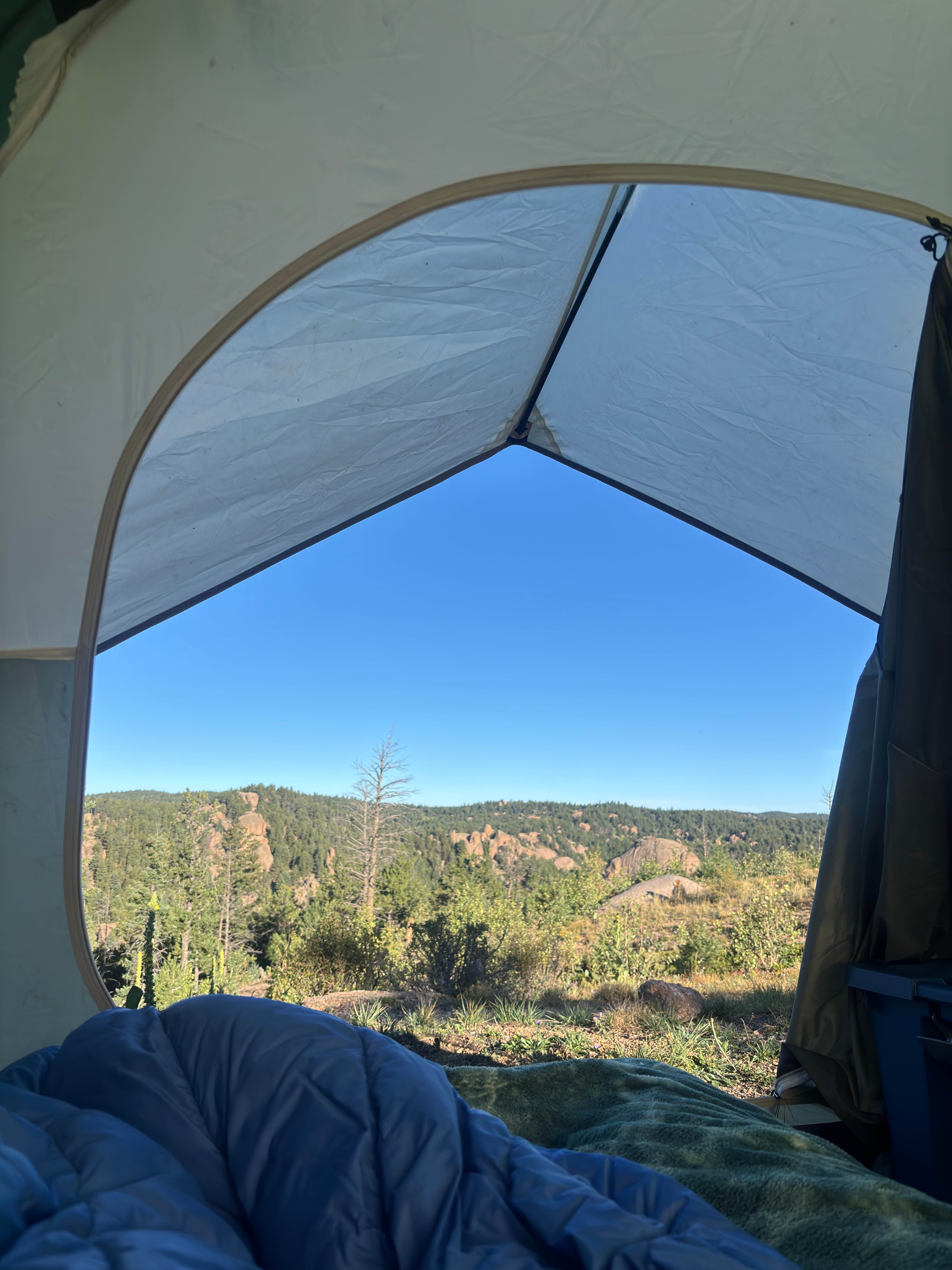 Camper-submitted photo at 320A Mt. Herman Dispersed near Peyton, CO