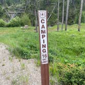 Review photo of Little Blackfoot River Dispersed Campsite #3 by Azaali J., July 9, 2024