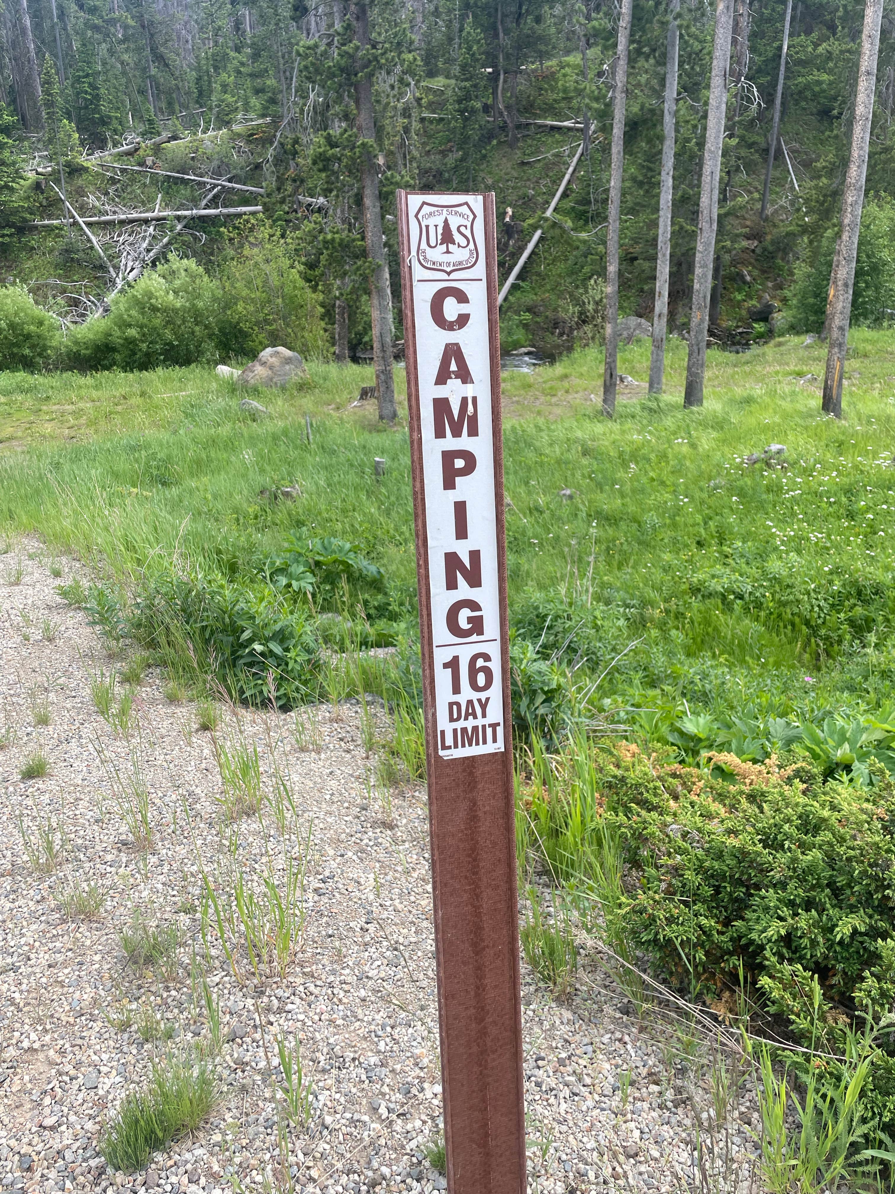 Camper submitted image from Little Blackfoot River Dispersed Campsite #3 - 5