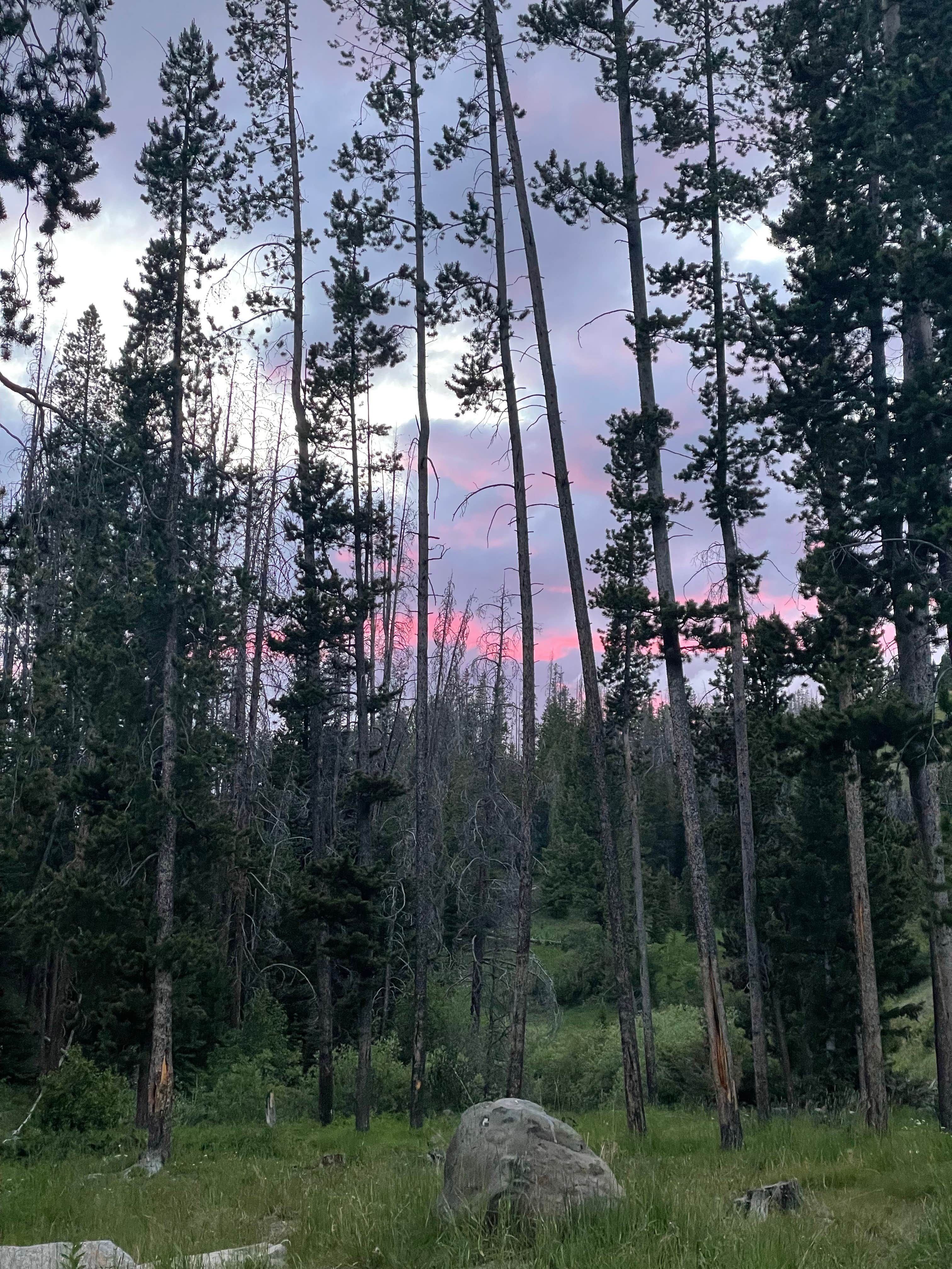 Camper-submitted photo at Little Blackfoot River Dispersed Campsite #3 near Deer Lodge, MT