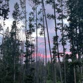 Review photo of Little Blackfoot River Dispersed Campsite #3 by Azaali J., July 9, 2024