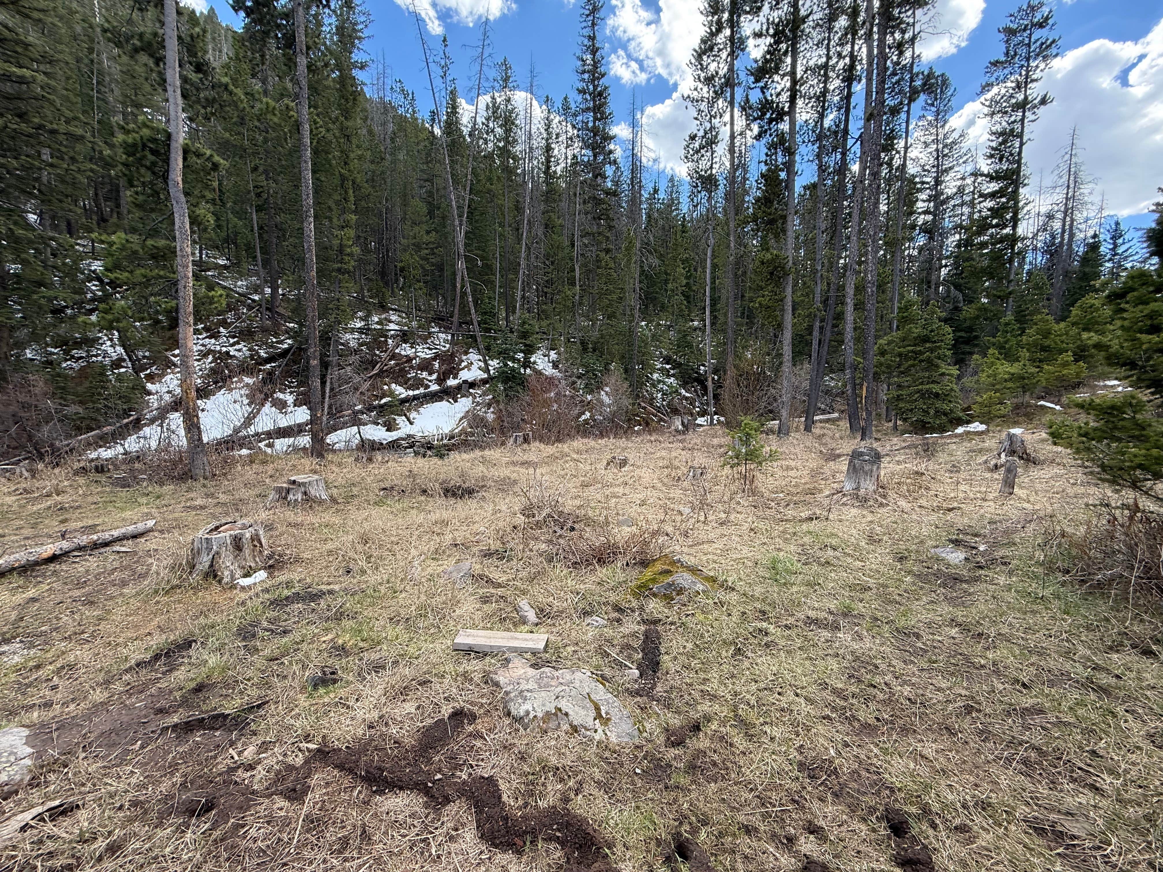Camper-submitted photo at Little Blackfoot River Dispersed Campsite #3 near Deer Lodge, MT