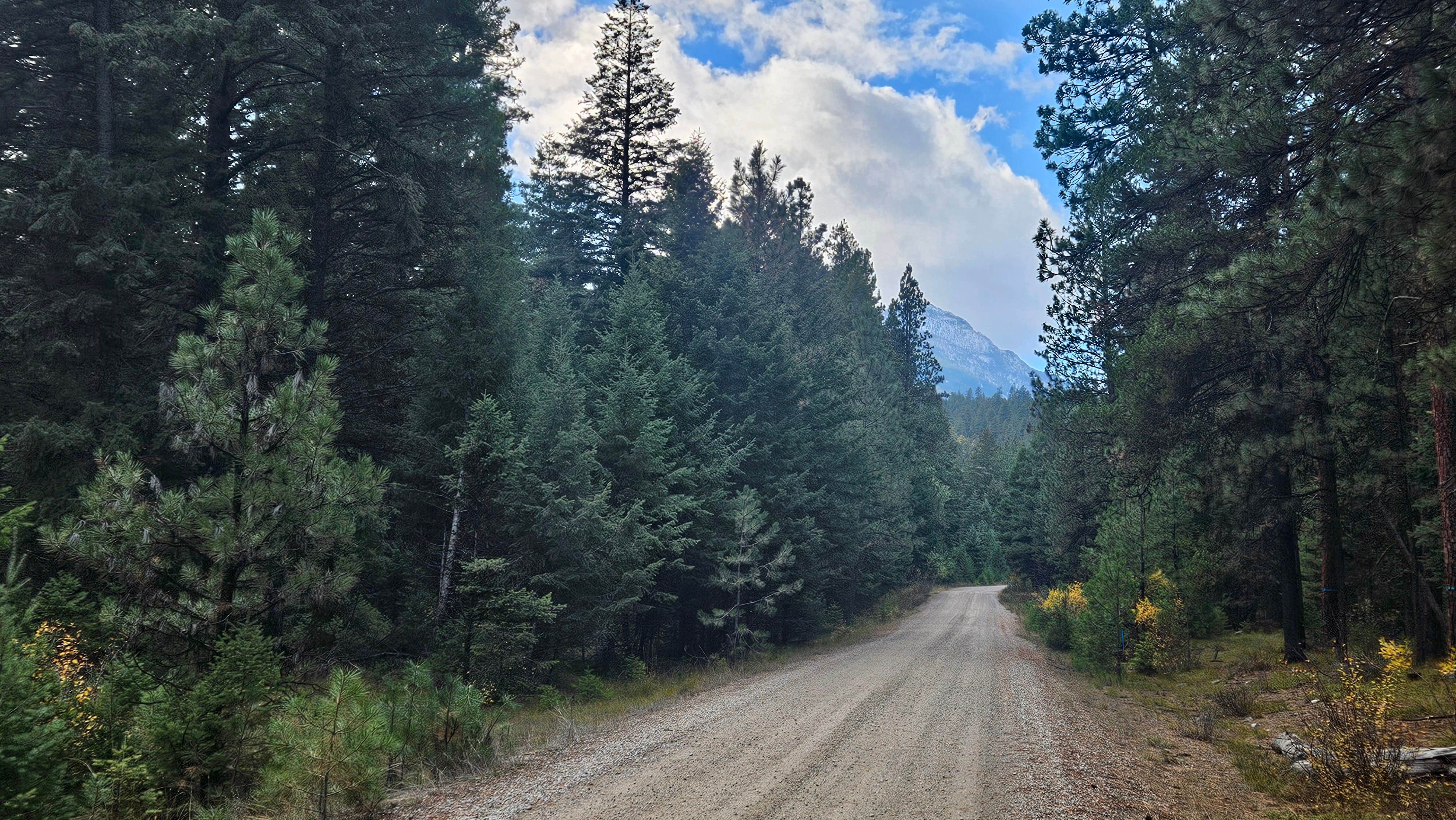 Camper-submitted photo at 4 or 5 dispersed sites along Chaffin Creek road near Gibbonsville, ID