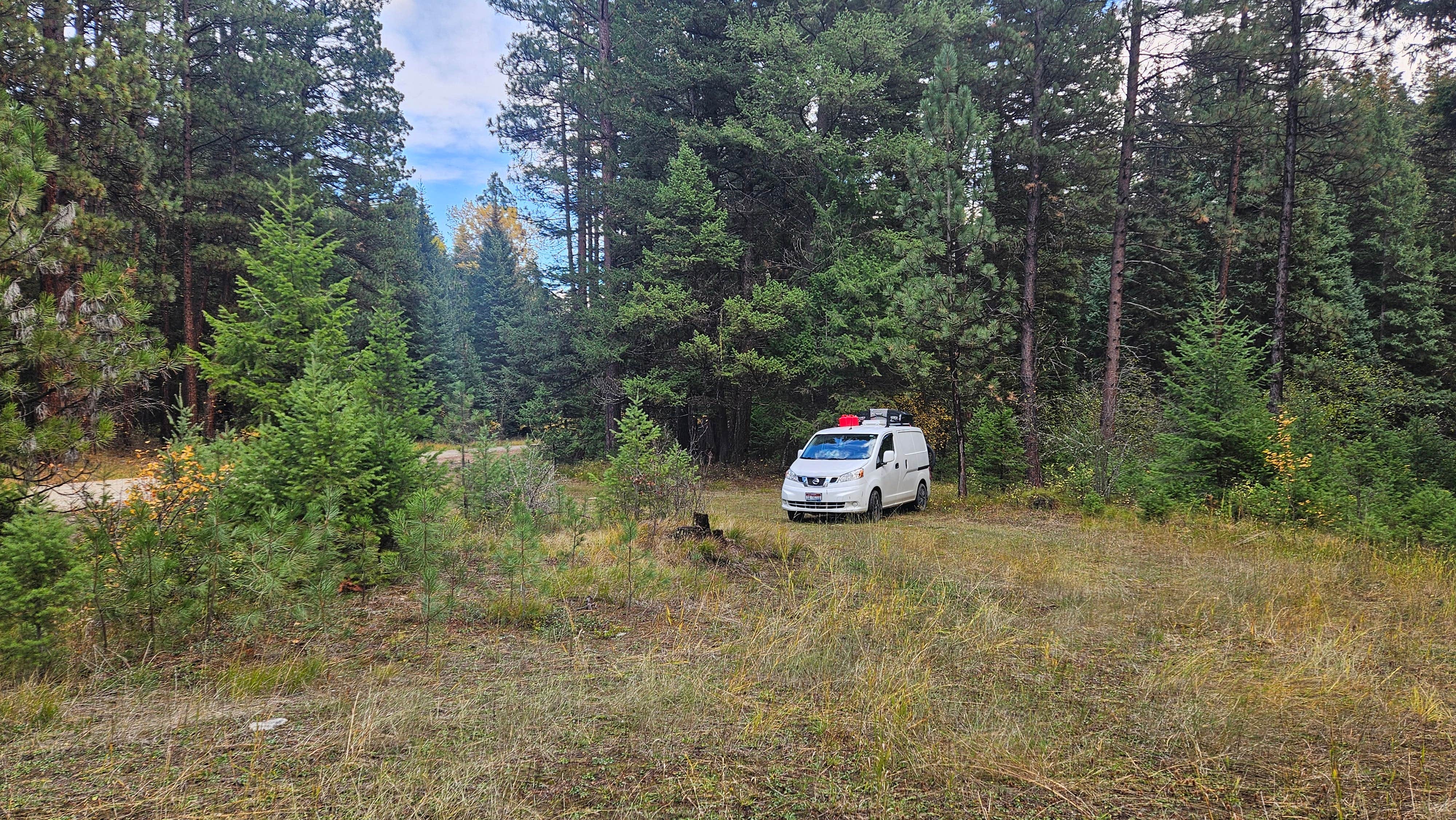 Camper submitted image from 4 or 5 dispersed sites along Chaffin Creek road - 3