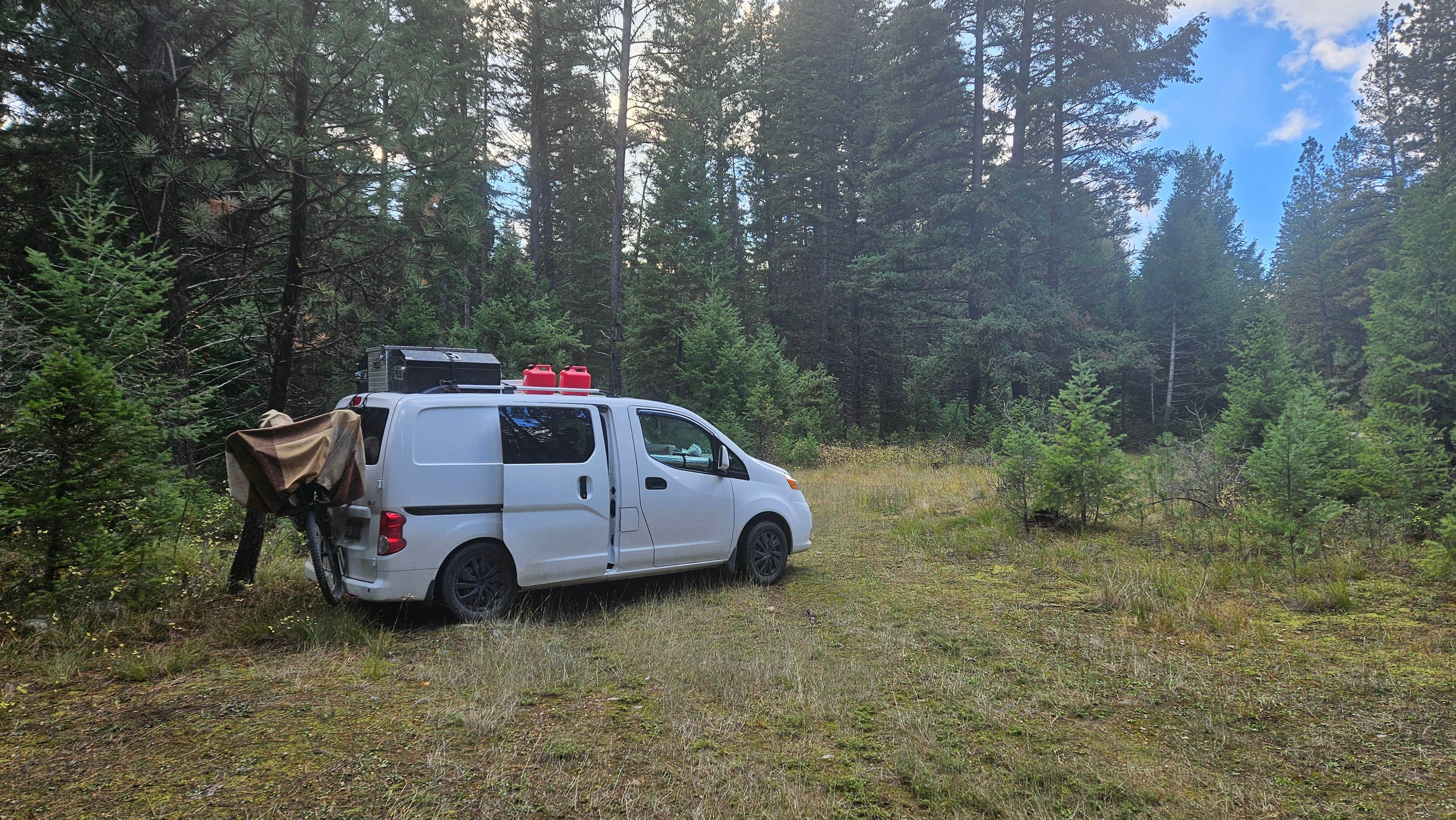 Camper submitted image from 4 or 5 dispersed sites along Chaffin Creek road - 4