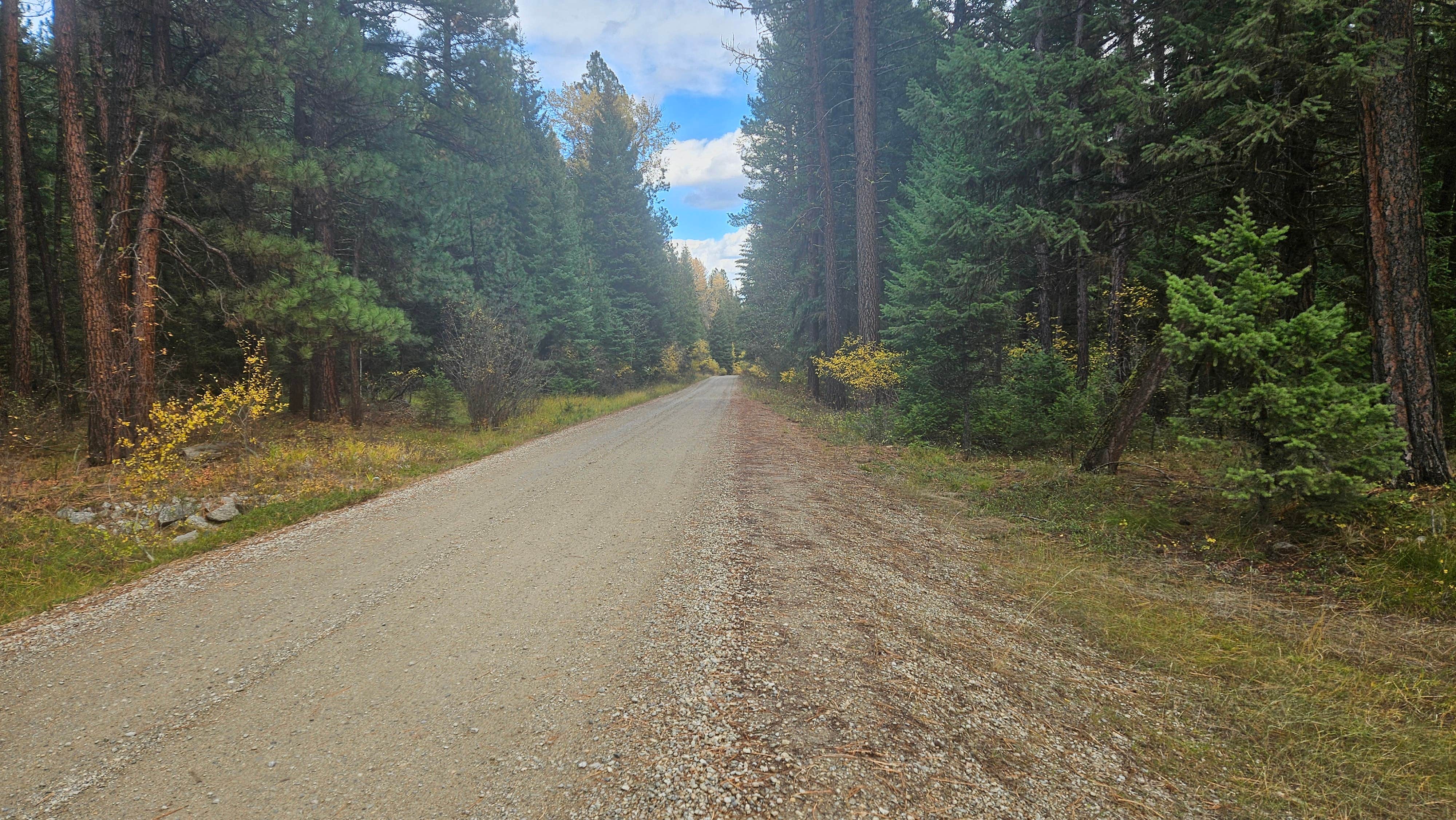 Camper-submitted photo at 4 or 5 dispersed sites along Chaffin Creek road near Gibbonsville, ID