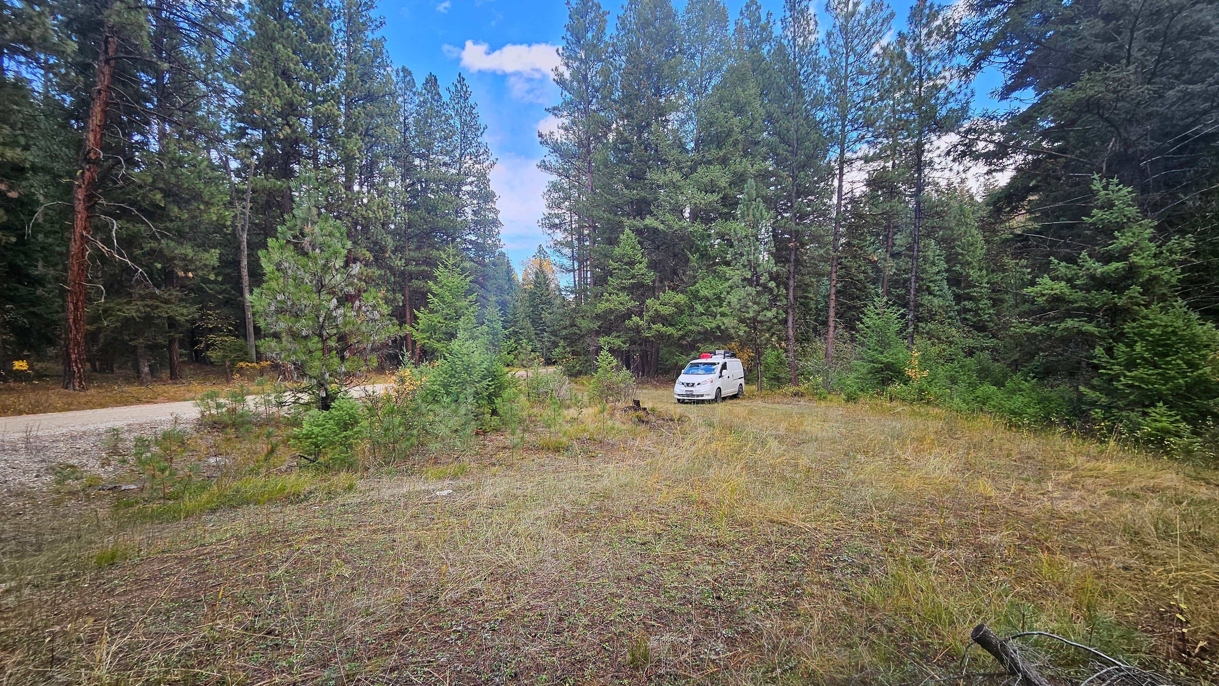 Camper submitted image from 4 or 5 dispersed sites along Chaffin Creek road - 2