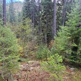 Review photo of 4 or 5 dispersed sites along Chaffin Creek road by Kevin C., October 21, 2025