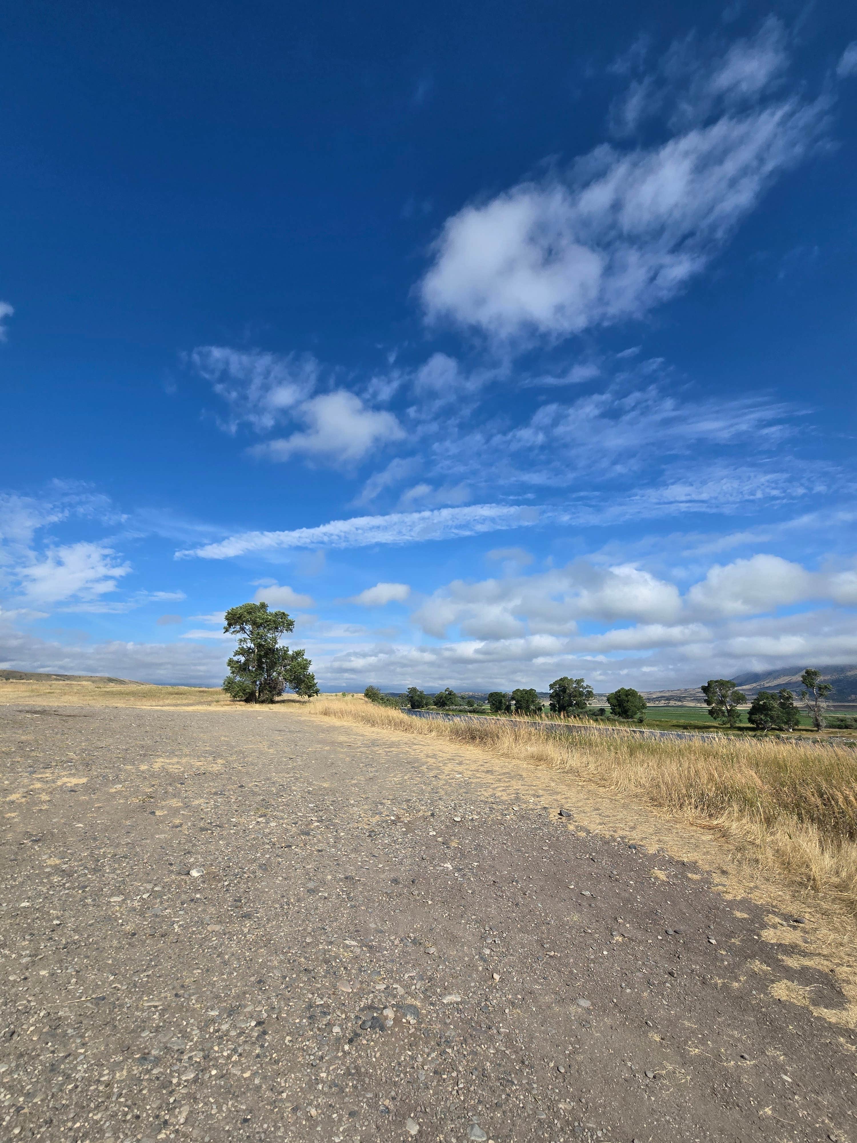 Steve M.'s photo of a dispersed camping area at Pig Farm Fishing Access Camp near Fishtail, MT