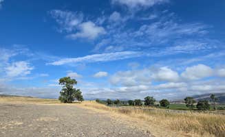 Steve M.'s photo of a dispersed camping area at Pig Farm Fishing Access Camp near Mcleod, MT