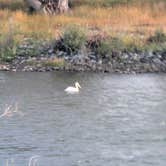 Review photo of Pig Farm Fishing Access Camp by Aliesha D., August 29, 2025