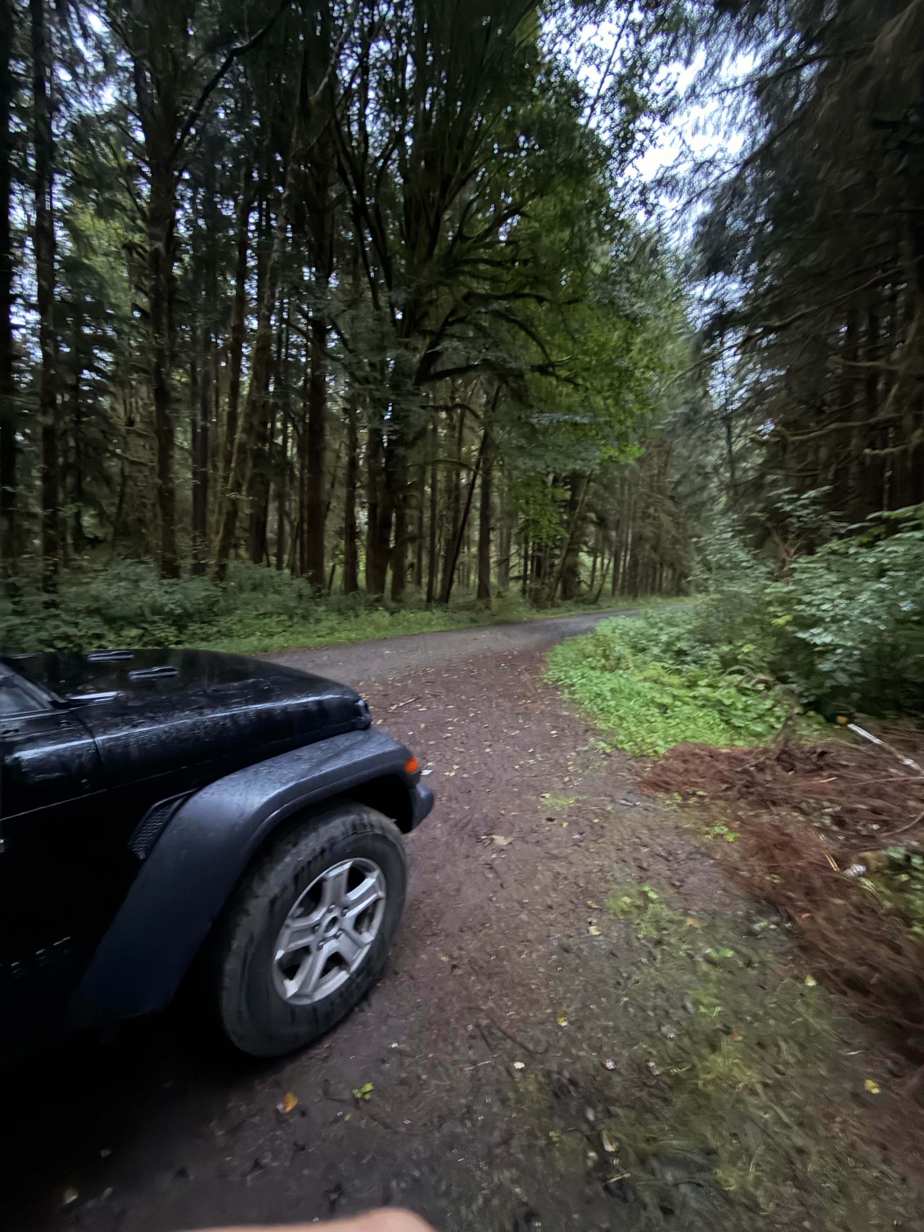 Camper-submitted photo at 47.42126° N, 123.88325° W near Aberdeen, WA