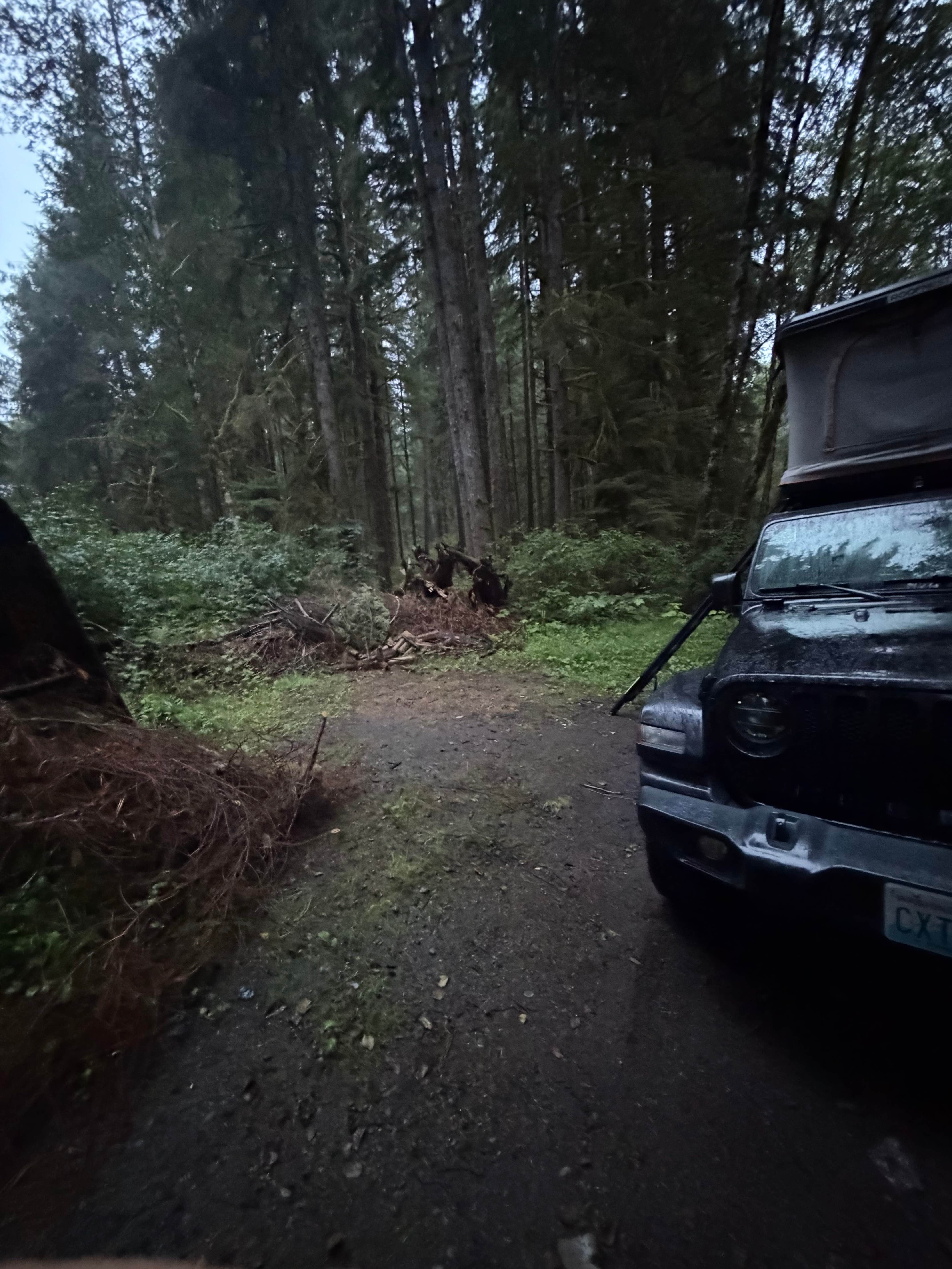 Camper-submitted photo at 47.42126° N, 123.88325° W near Aberdeen, WA