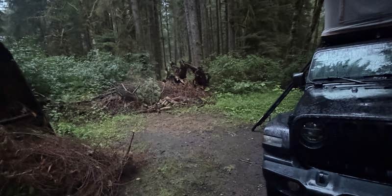 Camper submitted image from 47.42126° N, 123.88325° W