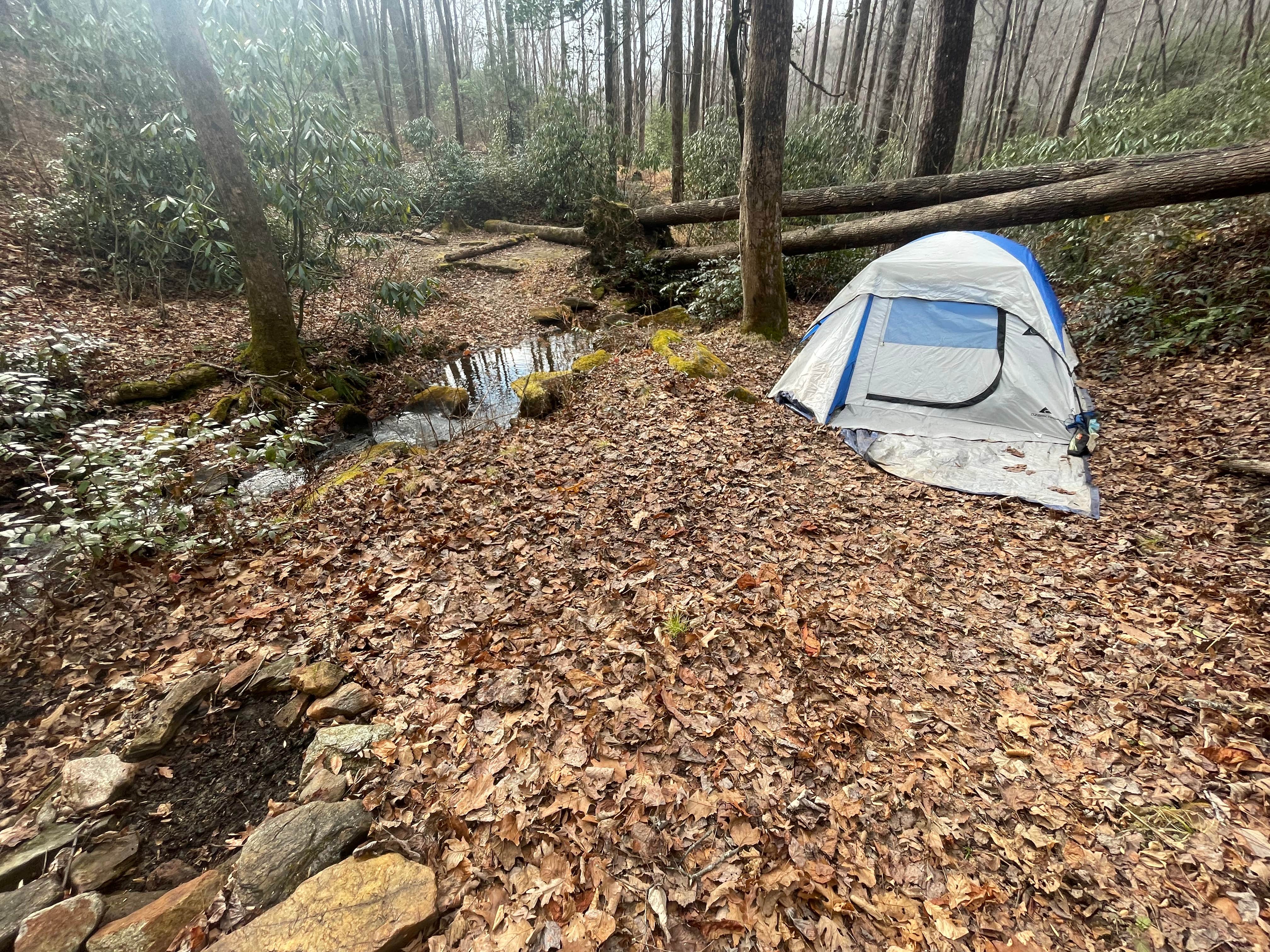 Camping near Sunburst Dispersed Camping: 475b, Brevard, North Carolina